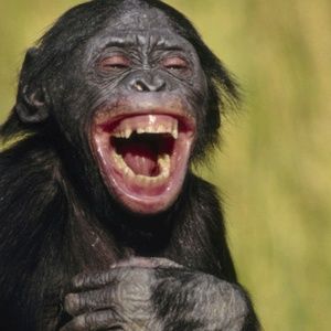 Meet your Posher, Larry